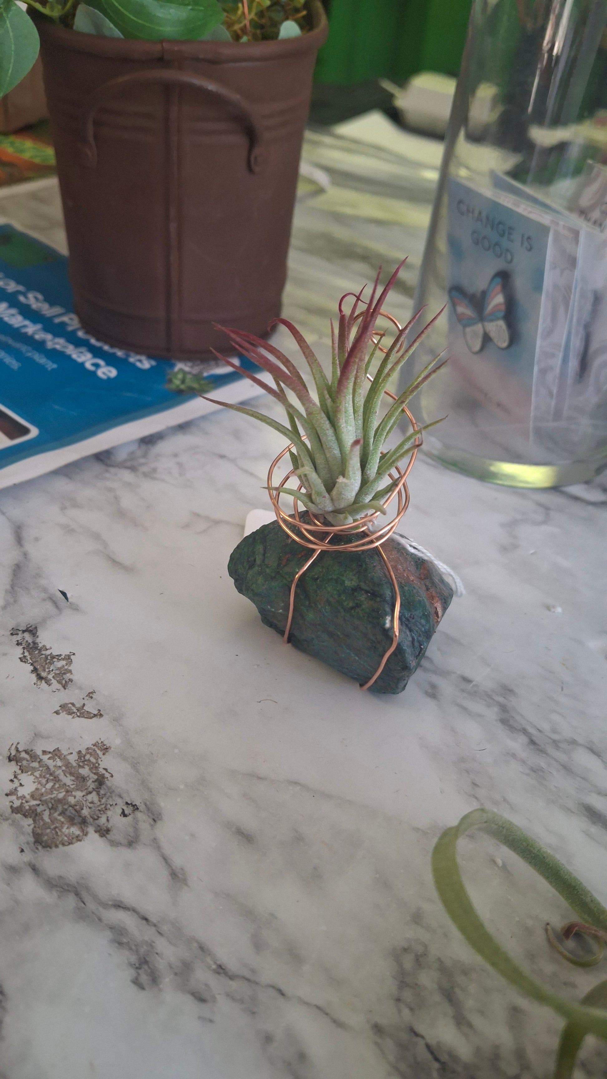 wire air plant holder Air Plant Holder – Plants and Things LLC
