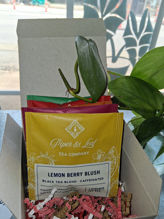 Tropical Holiday Tea Box-Christmas In July