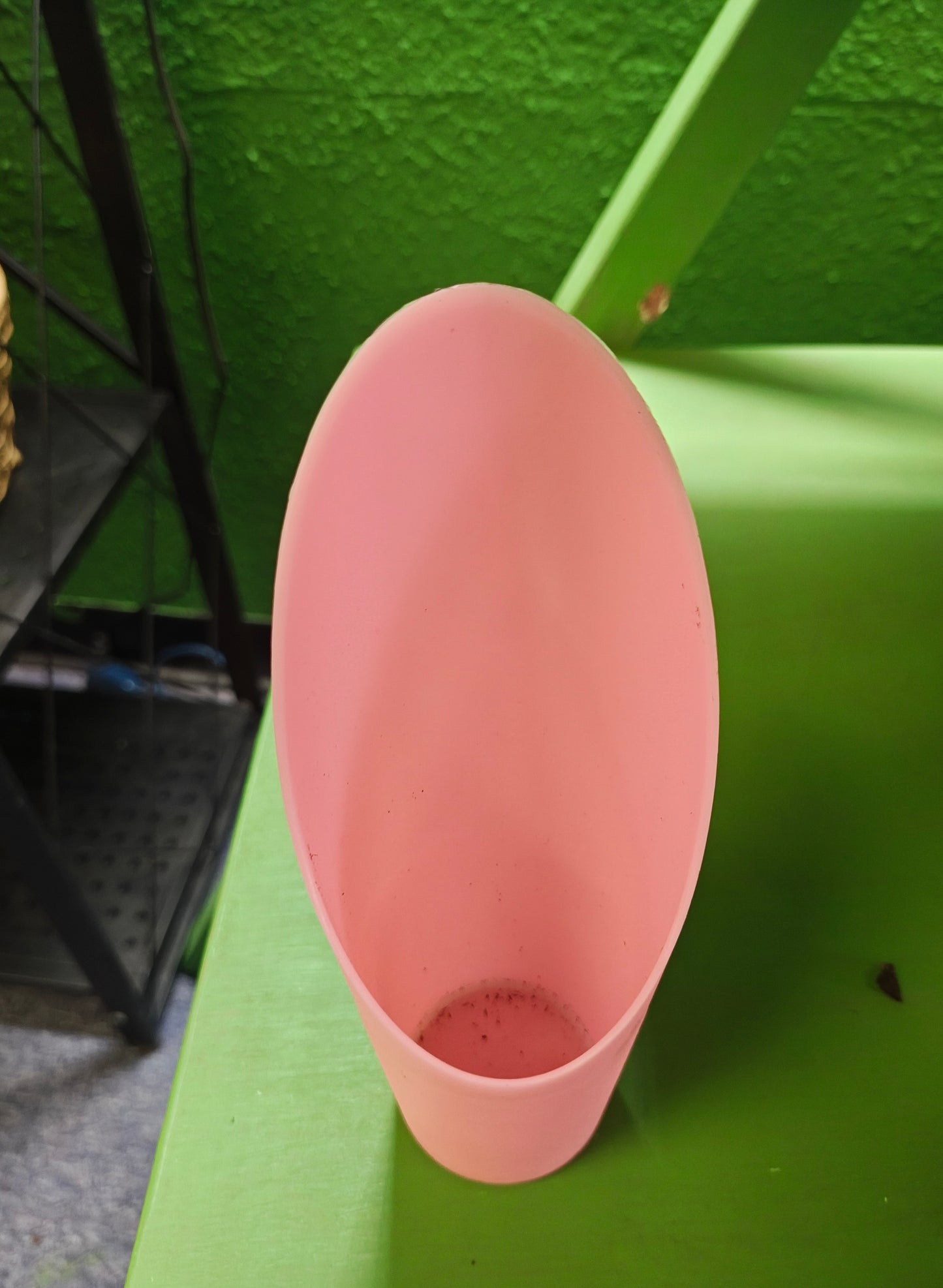 Soil Scoop- Asst colors