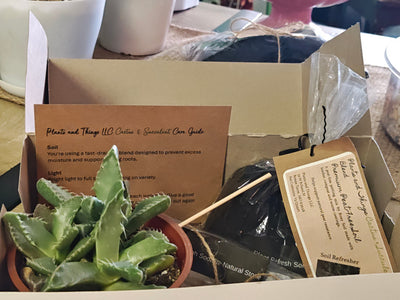 Plant Care Starter Bundle