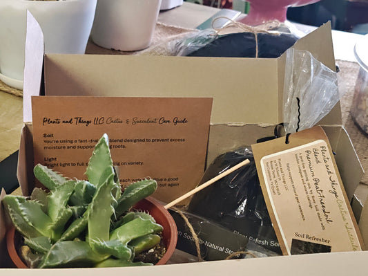 Plant Care Starter Bundle