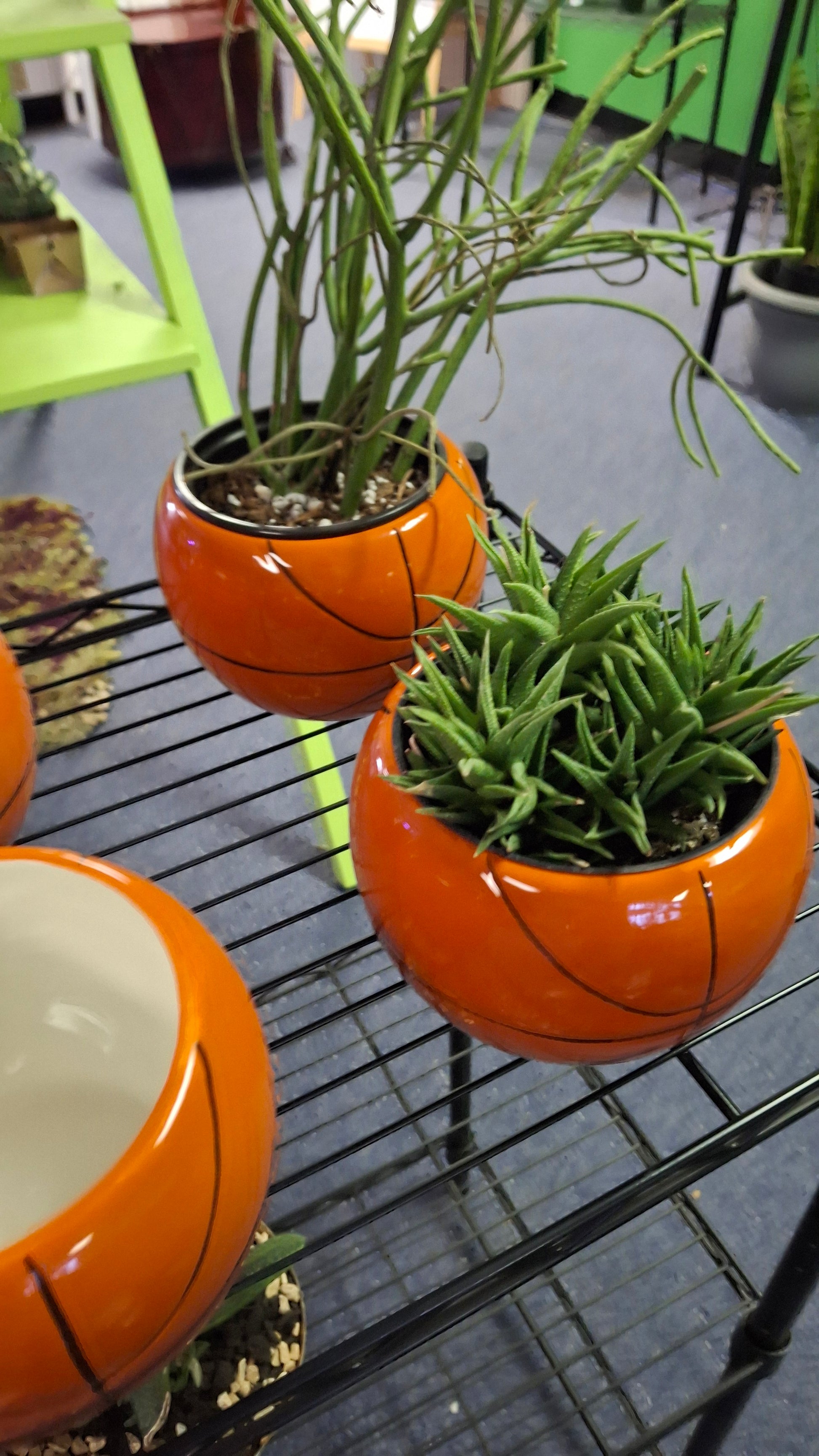 basketball plant pot Basketball Planter- New! – Plants and Things LLC