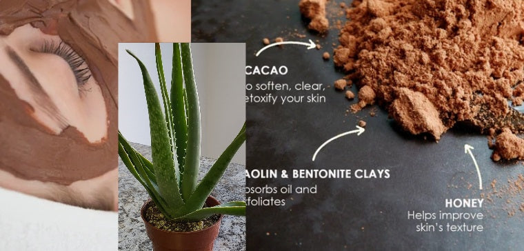 Chocolate Dry Face Mask